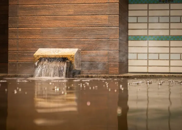 Super Hotel Osaka Natural Hot Springs